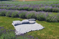 517429887_4089529584700167_227052487816344168_n