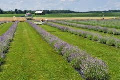 517609597_4089529384700187_8120497715735534323_n