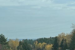 IMG_1869