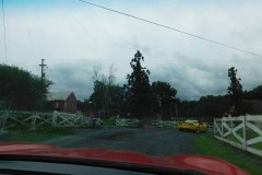aetDSCN0387